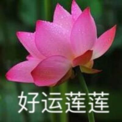 梦幻大秦ol(暂未上线)v1.3.1 安卓网络版