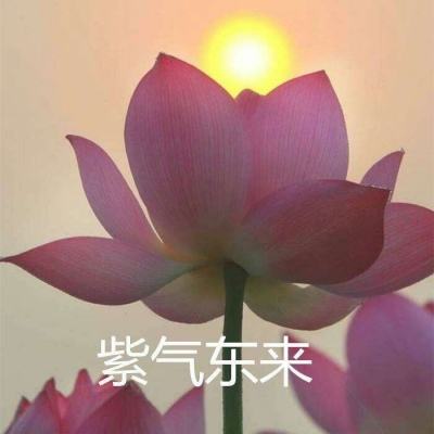 西游降魔录破解版下载